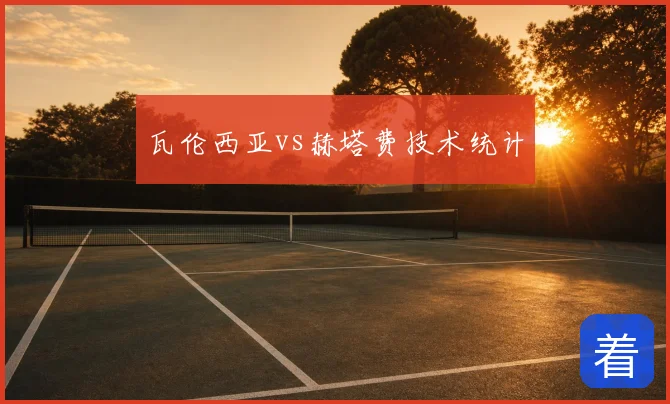 瓦伦西亚vs赫塔费技术统计